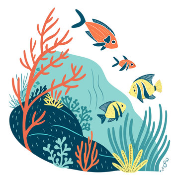 Tropical angelfish exploring vibrant coral reef.