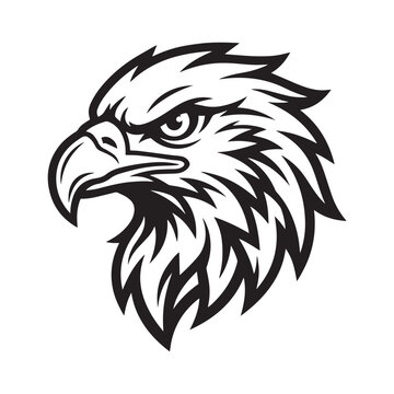 Majestic Eagle Head Vector Illustration with Intense Gaze.