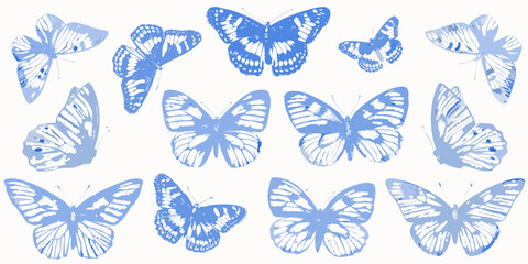 A collection of blue butterflies arranged in a decorative pattern © Barsha