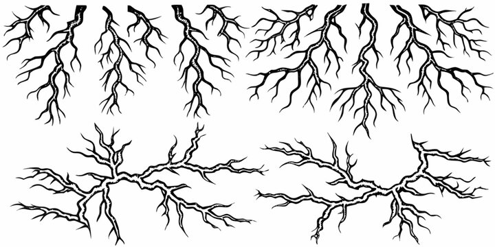 Intricate network of branching dark lines resembling roots or lightning