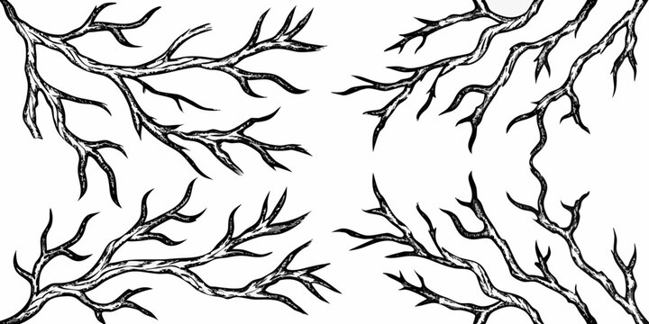 Intricate black and white sketch of bare tree branches against a white background
