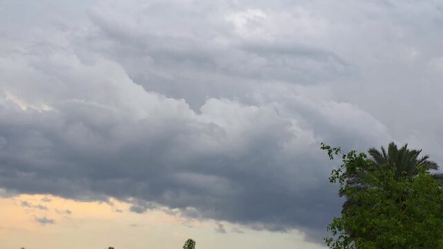 Clouds heavy with rain gathering above lush green palm trees in a dramatic tropical landscape 4K video (Ultra High Definition)
