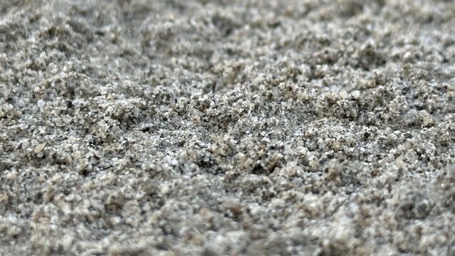 Close up view of coarse textured gray sand or tiny gravel creating an interesting natural pattern for various uses