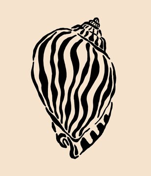 sea ​​snail sketch with line motif