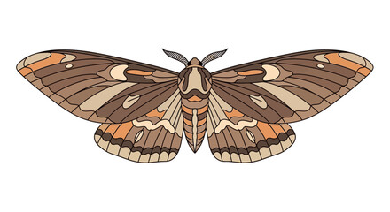 Detailed illustration of a brown moth with intricate wing patterns © Rohim