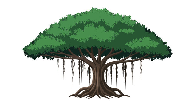 Illustration of a Banyan Tree with Spreading Canopy and Roots