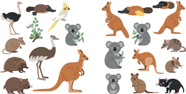 Cute Australian Wildlife Animal Collection with Kangaroo Koala Emu Wombat Echidna Platypus and Cockatoo Flat Cartoon Vector Illustration Set Isolated on White Background