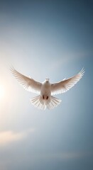 Fototapeta premium A majestic white dove with wings spread wide, soaring gracefully through a clear blue sky, symbolizing peace and freedom in a serene aerial view