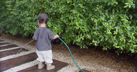 A curious toddler wearing boots stands in the backyard watering a lush green hedge, learning about nature and gardening through a fun sensory play activity. © HarryKiiM Stock