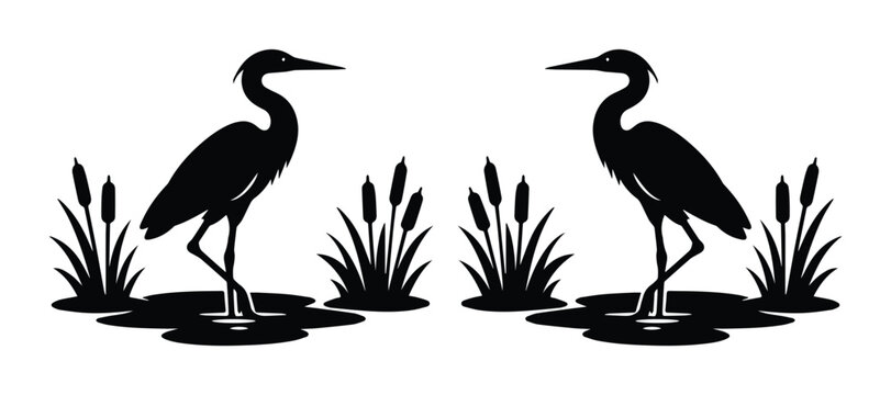 Elegant Heron Silhouettes, a pair of black wading birds in a pond with cattails, minimalist vector illustration for nature and wildlife designs