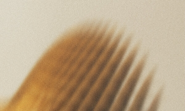 Abstract beige background with wooden comb shadow soft light minimal aesthetic texture