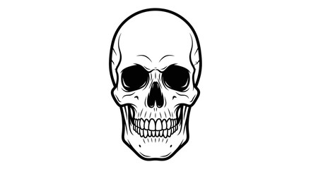 Obraz premium Detailed skull illustration on white background for graphic design and concepts