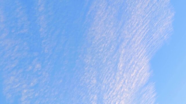 Cirrocumulus clouds drifting across a bright blue sky with thin textured patterns during daytime 4K video (Ultra High Definition)