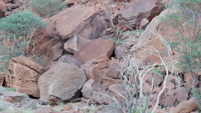 a wide zoom in shot of a petroglyph of an elephant on a boulder at twyfelfontein in namibia