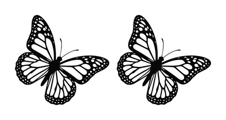 Monarch butterfly silhouette vector set, black butterfly icons on white background, elegant flying insect line art for nature and spring designs © xantii
