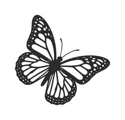 Monarch butterfly silhouette vector icon, black butterfly wing pattern illustration, elegant insect graphic element for nature branding © xantii