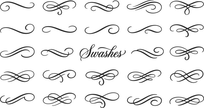 Ornate vector graphic illustration showcasing a variety of elegant calligraphic swashes, decorative flourishes, and graceful typographic dividers.