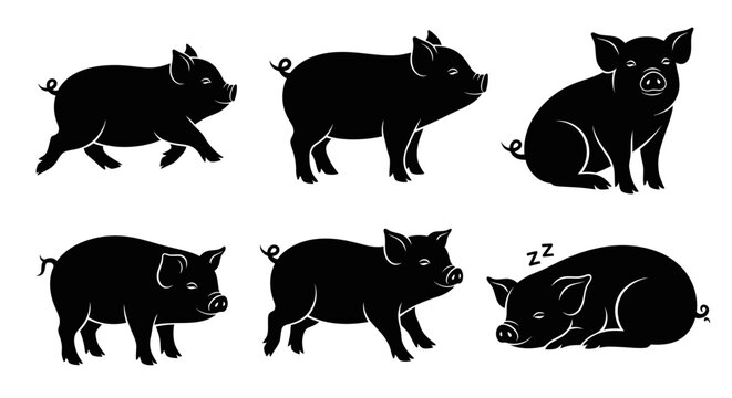 Set of Pig Silhouettes in Various Poses