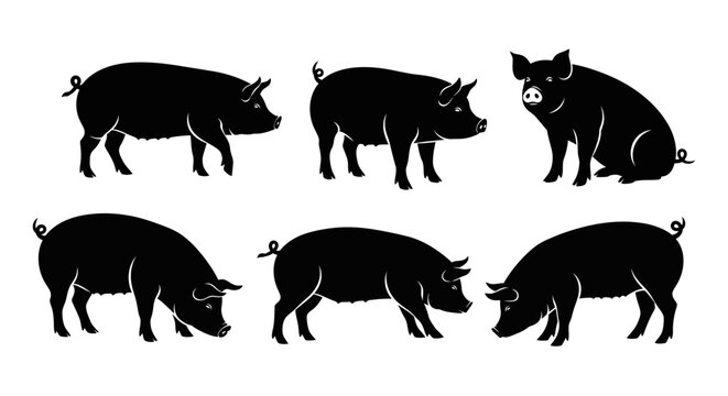 Set of Black Pig Silhouettes in Various Poses