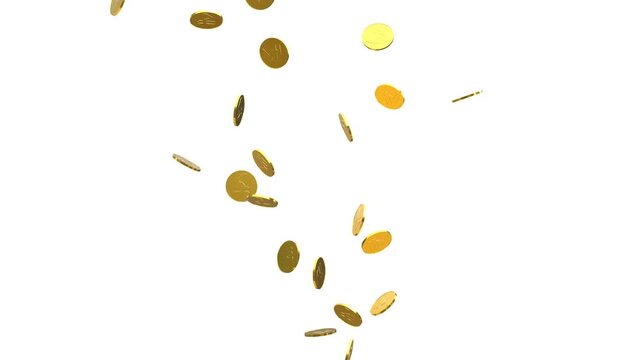 Indian rupees coins rain with Alpha Channel. Gold Coins Exploding Isolated on white Screen 3D. Gold Realistic 3D rupee coins exploding loop white background. 4k gold coins falling