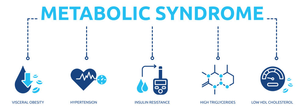 metabolic syndrome glyph banner icon of visceral obesity, hypertension, insulin resistance, high triglycerides, low hdl cholesterol