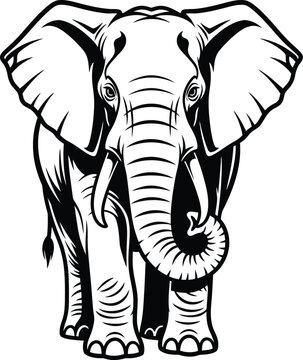 Large elephant with big ears and tusks standing alone  illustration