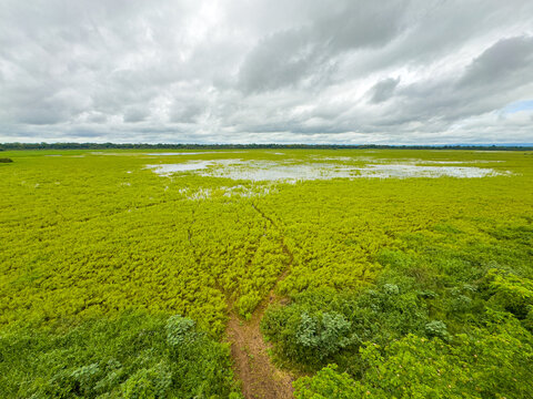 Laguna Ca&ntilde;o Negro, Costa Rica 2025 (Sitio RAMSAR). Foto por: Dulce D&iacute;az 