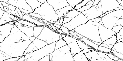 Obraz premium Abstract crack lines on white background fractured texture minimal broken surface design.