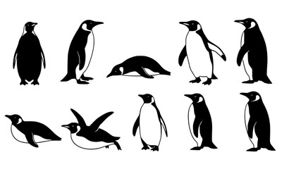 Penguin silhouettes vector set black arctic bird wildlife collection minimal design © MstKamrun