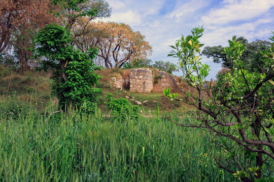 Sirsukh is the fourth and final major city of ancient Taxila, founded by the Kushans (likely during the reign of Kanishka) in the 1st century AD