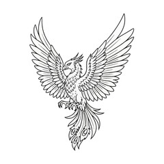 Obraz premium Detailed black and white line art drawing of a mythological phoenix bird in flight with spread wings, sharp talons, and long flowing tail feathers isolated on a white background.