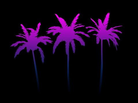 Three stylized palm trees are depicted in a gradient of purple and blue against a solid black background. The trees have distinct, fan-like fronds and slender trunks. The vibrant use of color gives a 