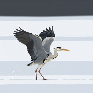 Vector illustration of a grey heron Ardea cinerea with outstretched wings standing on a striped blue and white background. Detailed plumage, long legs, and yellow beak.