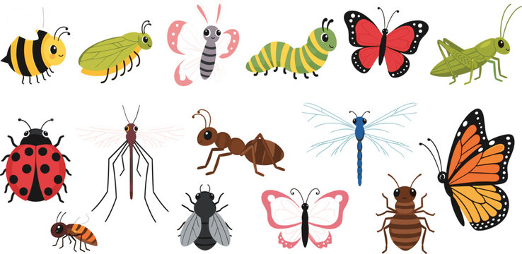 Colorful insect illustration collection featuring butterfly bee ladybug ant mosquito caterpillar grasshopper dragonfly and various bugs in detailed cartoon style