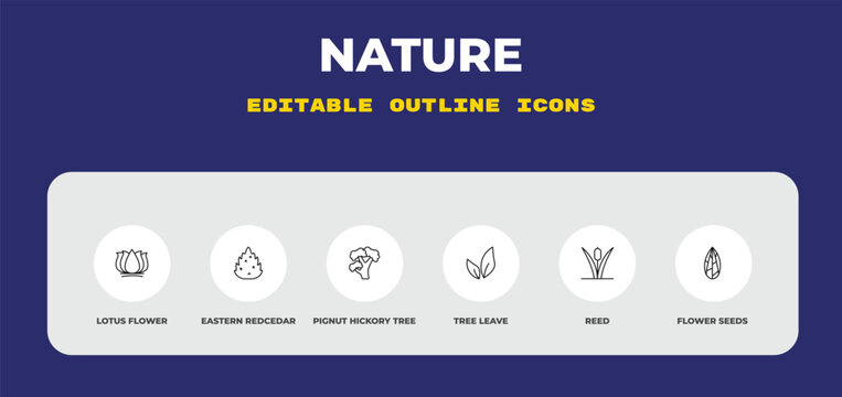 outline nature icons set - lotus flower, eastern redcedar tree, pignut hickory tree. editable vector for web and mobile ui