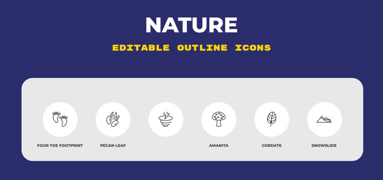 outline nature icons set - four toe footprint, pecan leaf, . editable vector for web and mobile ui