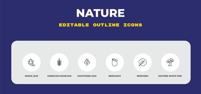 outline nature icons set - grape leaf, american mountain ash, hawthorn leaf. editable vector for web and mobile ui