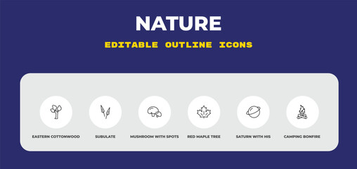 outline nature icons set - eastern cottonwood tree, subulate, mushroom with spots. editable vector for web and mobile ui © IconArt