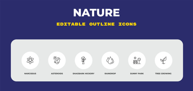 outline nature icons set - narcissus, asteroids, shagbark hickory tree. editable vector for web and mobile ui