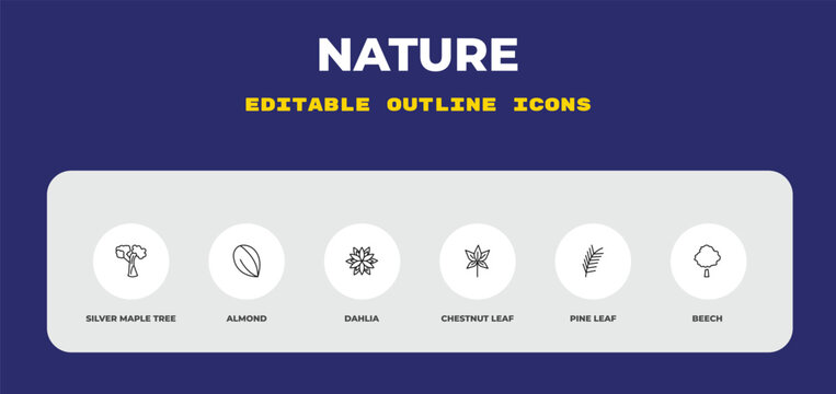 outline nature icons set - silver maple tree, almond, dahlia. editable vector for web and mobile ui