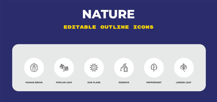 outline nature icons set - human brian, poplar leaf, sun flare. editable vector for web and mobile ui