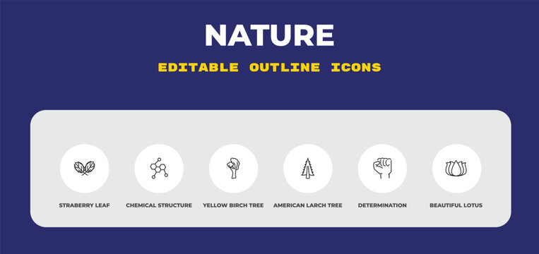outline nature icons set - straberry leaf, chemical structure, yellow birch tree. editable vector for web and mobile ui