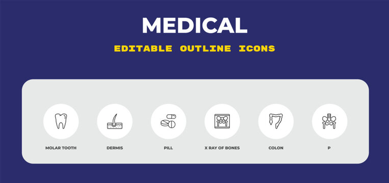 outline medical icons set - molar tooth, dermis, pill. editable vector for web and mobile ui