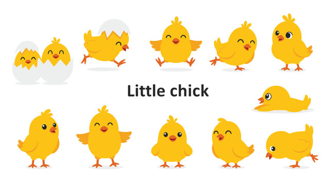 Large collection of cute yellow baby chick characters in various playful poses, from emerging from eggs to running and jumping with joy.