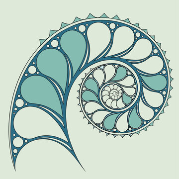Detailed nautilus shell spiral pattern in blue and teal tones with nautilus geometric illustration abstract decoration symmetry creature underwater nautical detailed minimalist wallpaper
