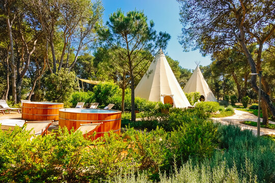 Relaxation area with luxury hot tub surrounded by lush vegetation in sunny day.