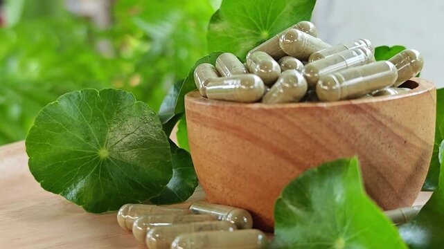 Centella asiatica capsule. Herbal supplements.