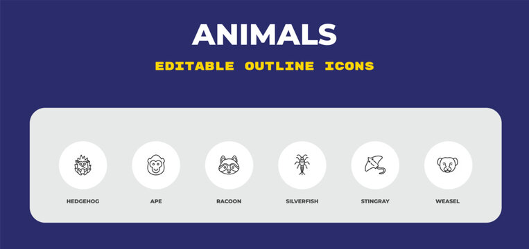 outline animals icons set - hedgehog, ape, racoon. editable vector for web and mobile ui