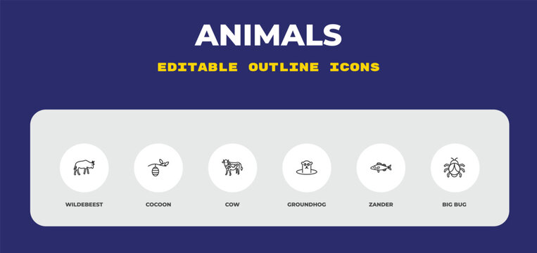 outline animals icons set - wildebeest, cocoon, cow. editable vector for web and mobile ui