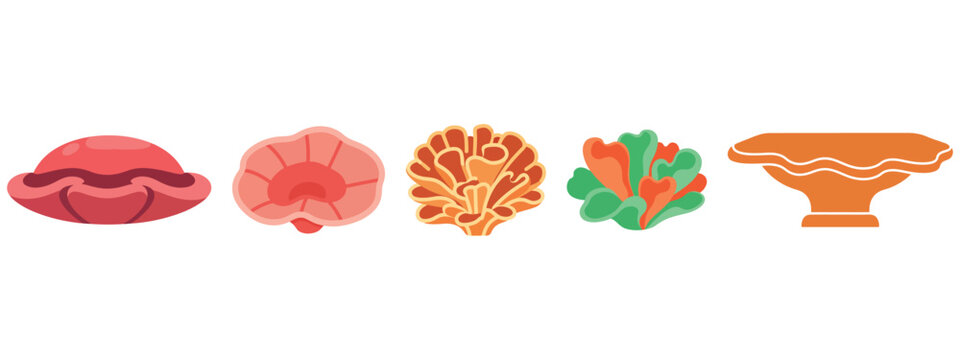 Collection of diverse coral reef species and underwater marine life forms